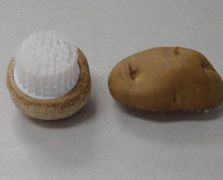 薯仔、蘑菇刷之二